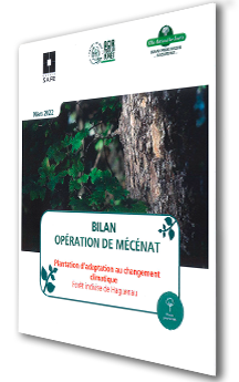 bilan opéraion de Mécénat forêt de Haguenau